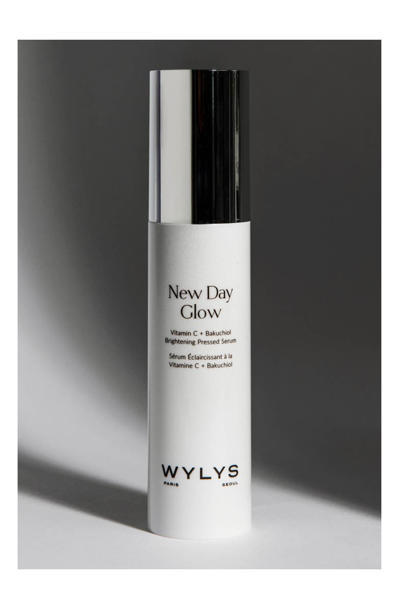 WYLYS New Day Glow & Sage Verte Makeup Bag, Alternate, color, NO COLOR