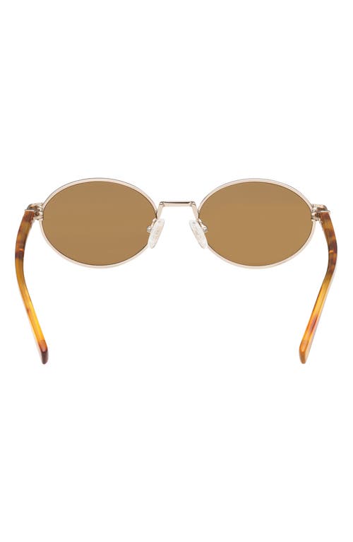 Abercrombie & Fitch 51mm Oval Sungalsses In Brown