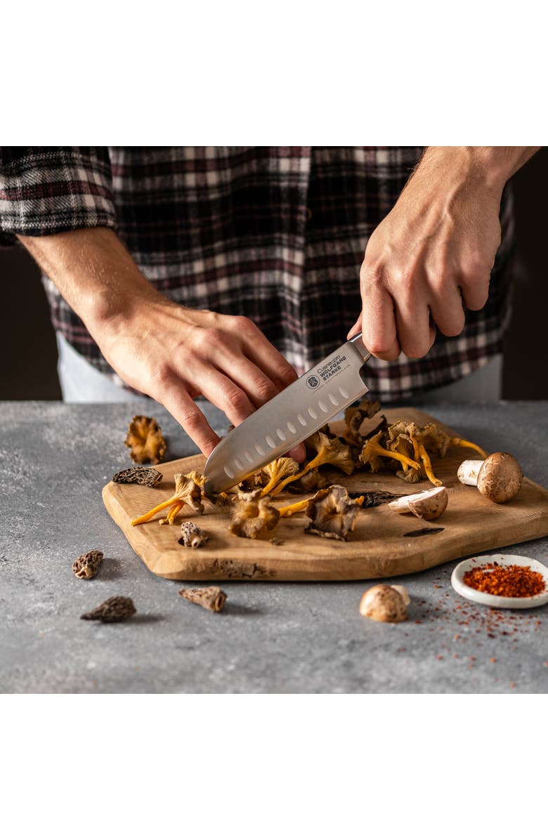Cuisine::pro<sup>®</sup> WOLFGANG STARKE 5.5" Santoku, Alternate, color, Black
