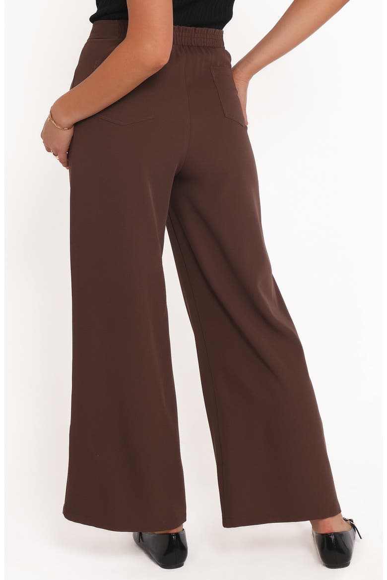 Corfu Pleat Front Wide Leg Pants, Alternate, color, BROWN