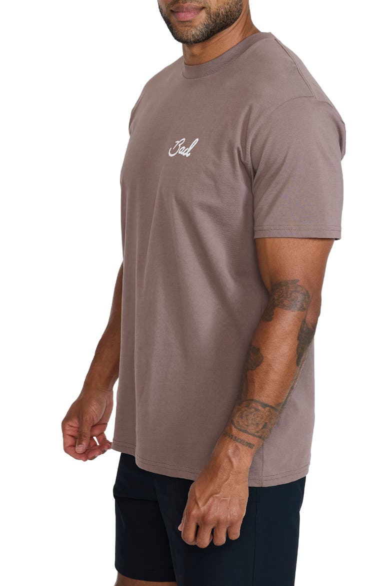Birdie Cotton Graphic T-Shirt, Alternate, color, IRON