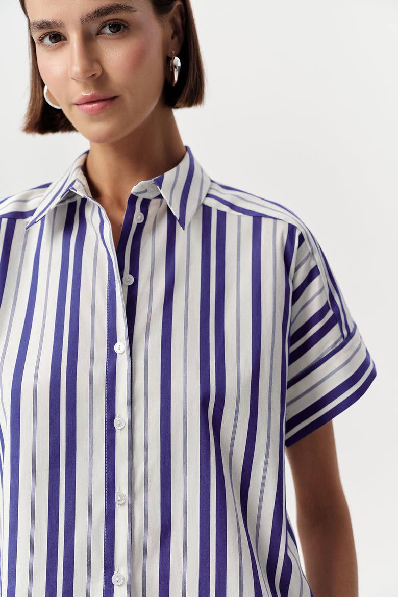 Alsatia Dropped Short Sleeve Striped Shirt, Alternate, color, Blue