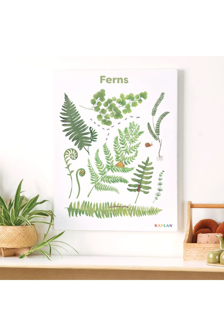 Fern Giclee Classroom Wall Print, Alternate, color, green