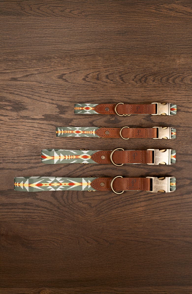 Pendleton Heritage Dog Collar, Alternate, color, Bridge Creek