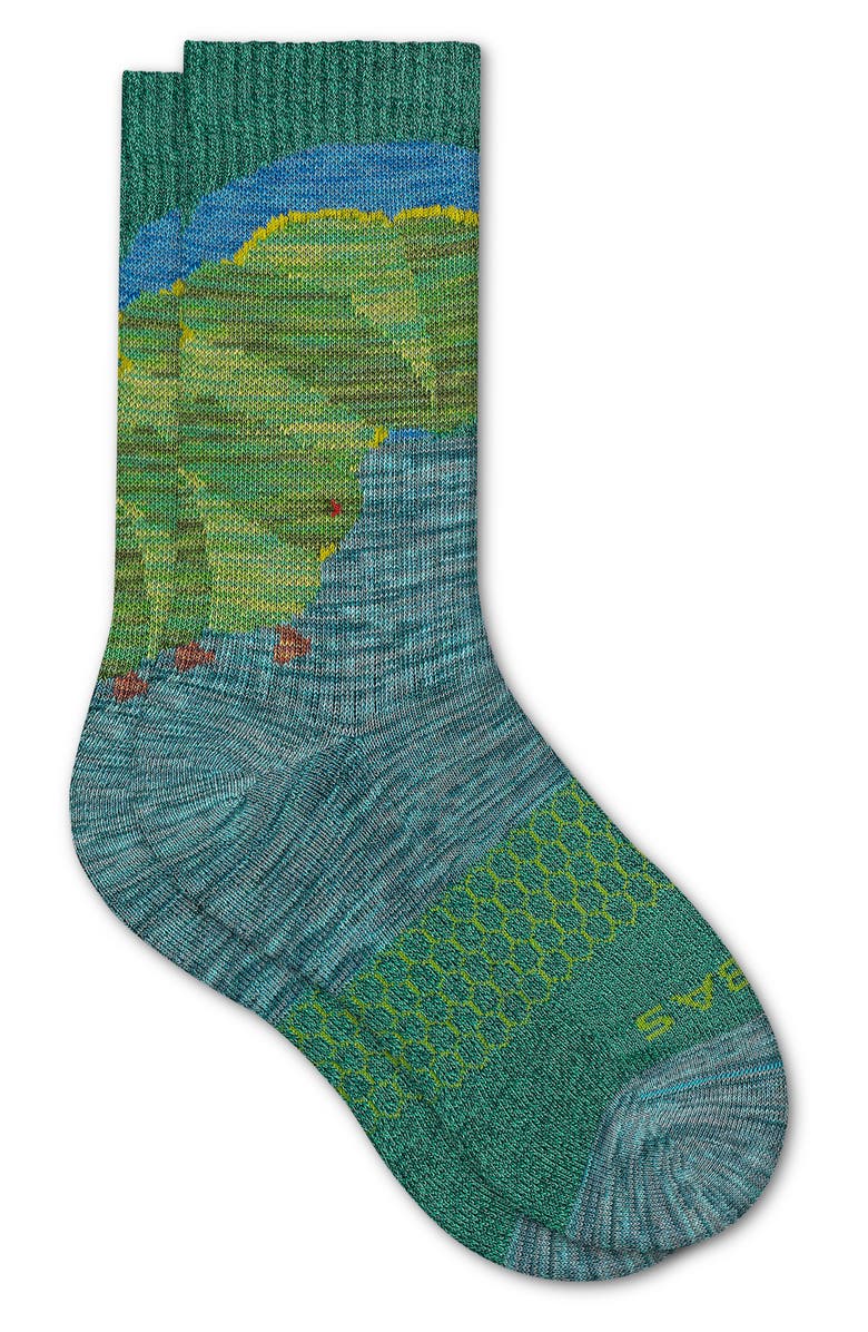 Bombas x Eric Carle Caterpillar Crew Socks, Alternate, color, 