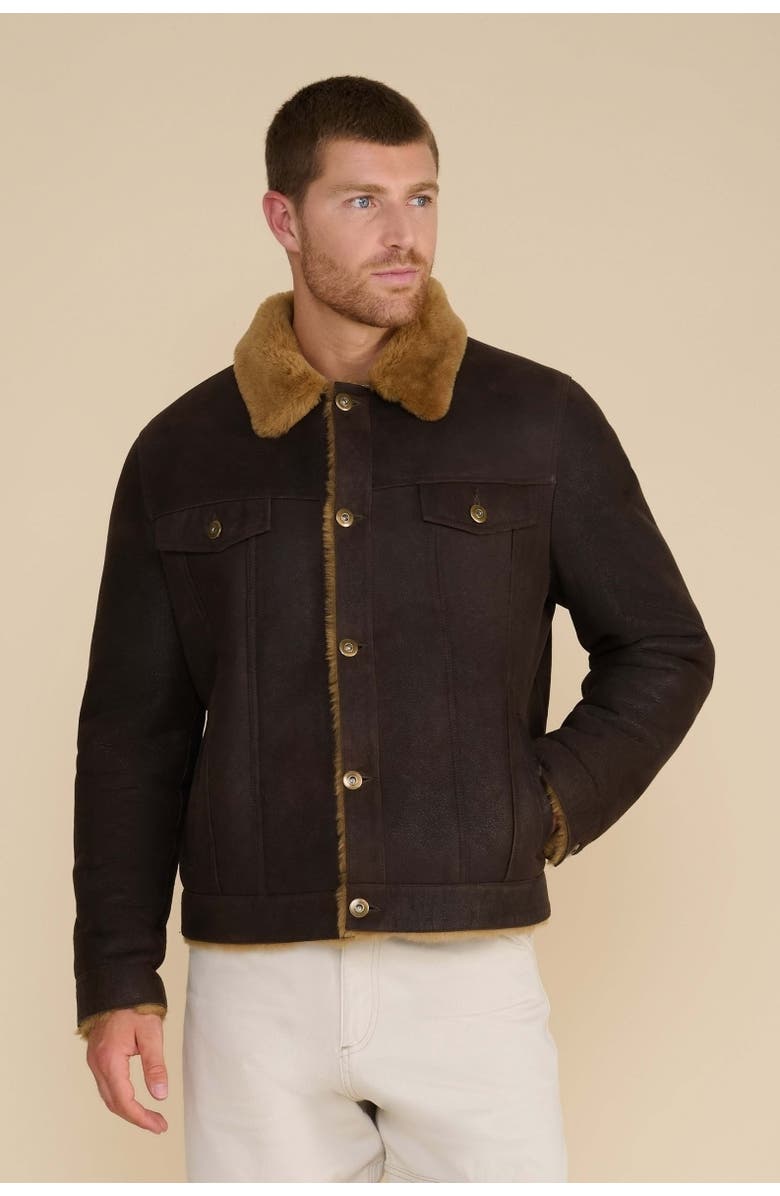 Furniq UK Alfie Suede Jacket, Alternate, color, Brown