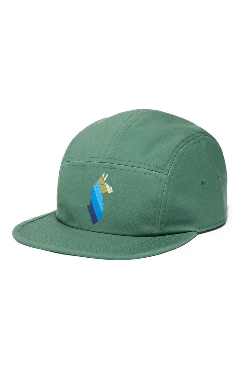 Cotopaxi Llama Stripes 5-Panel Hat, Main, color, Vine
