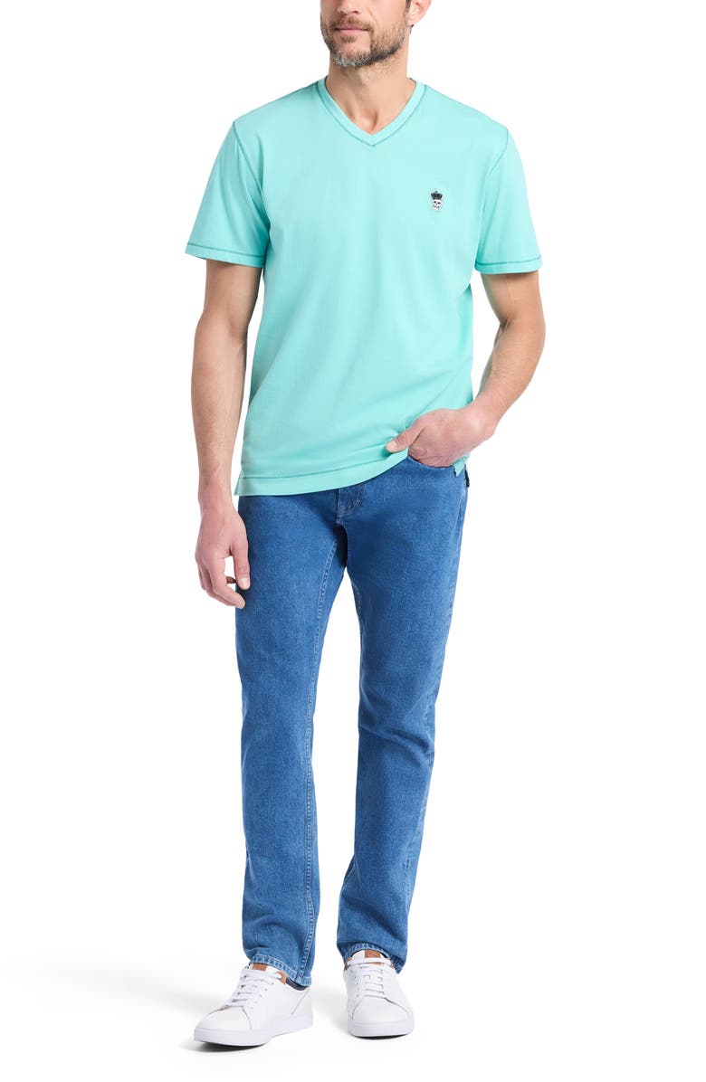 Robert Graham Damien V-Neck Knit T-Shirt, Alternate, color, 