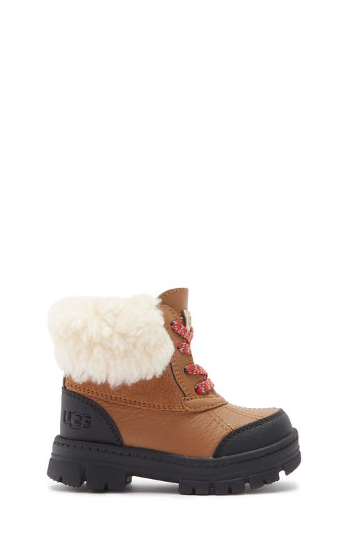 Ugg ® Kids' Ashton Addie Waterproof Boot In Brown