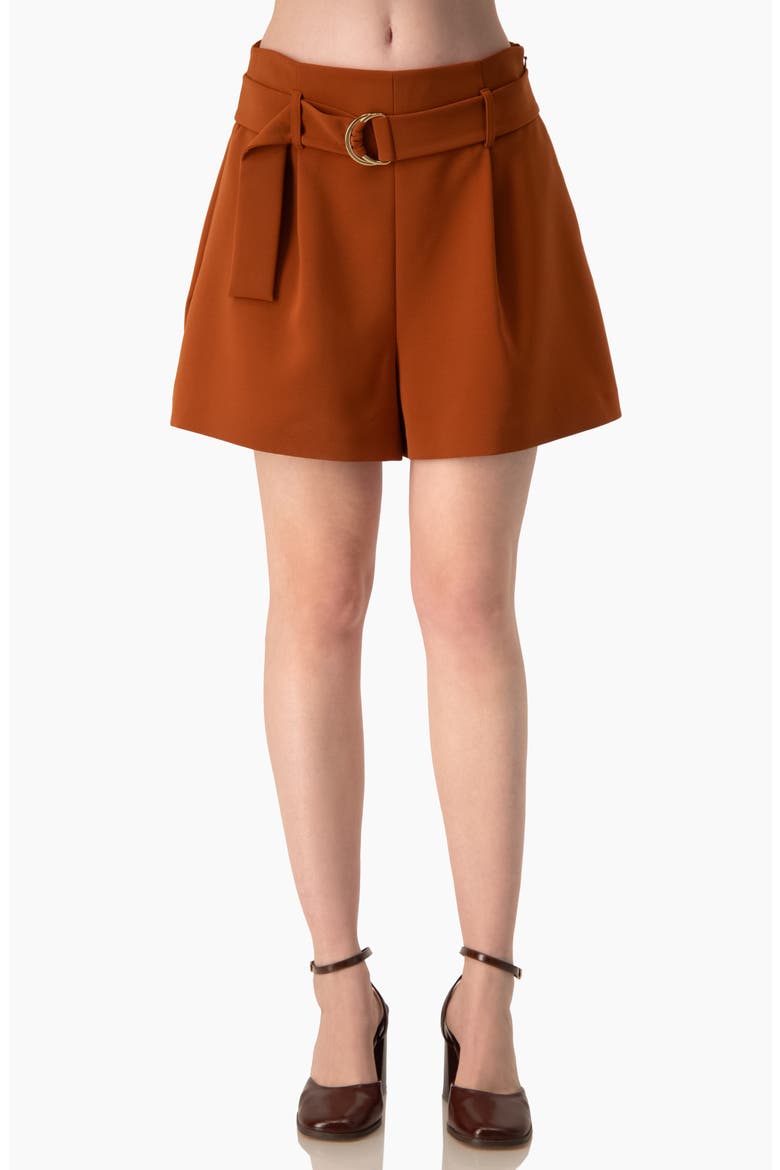 High-Rise Tailored Shorts with Removable Belt, Main, color, Chedron