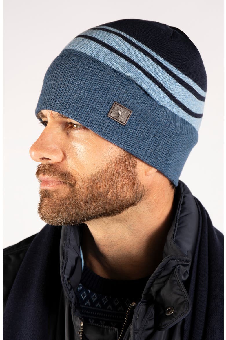 Striped Beanie, Alternate, color, NAVY
