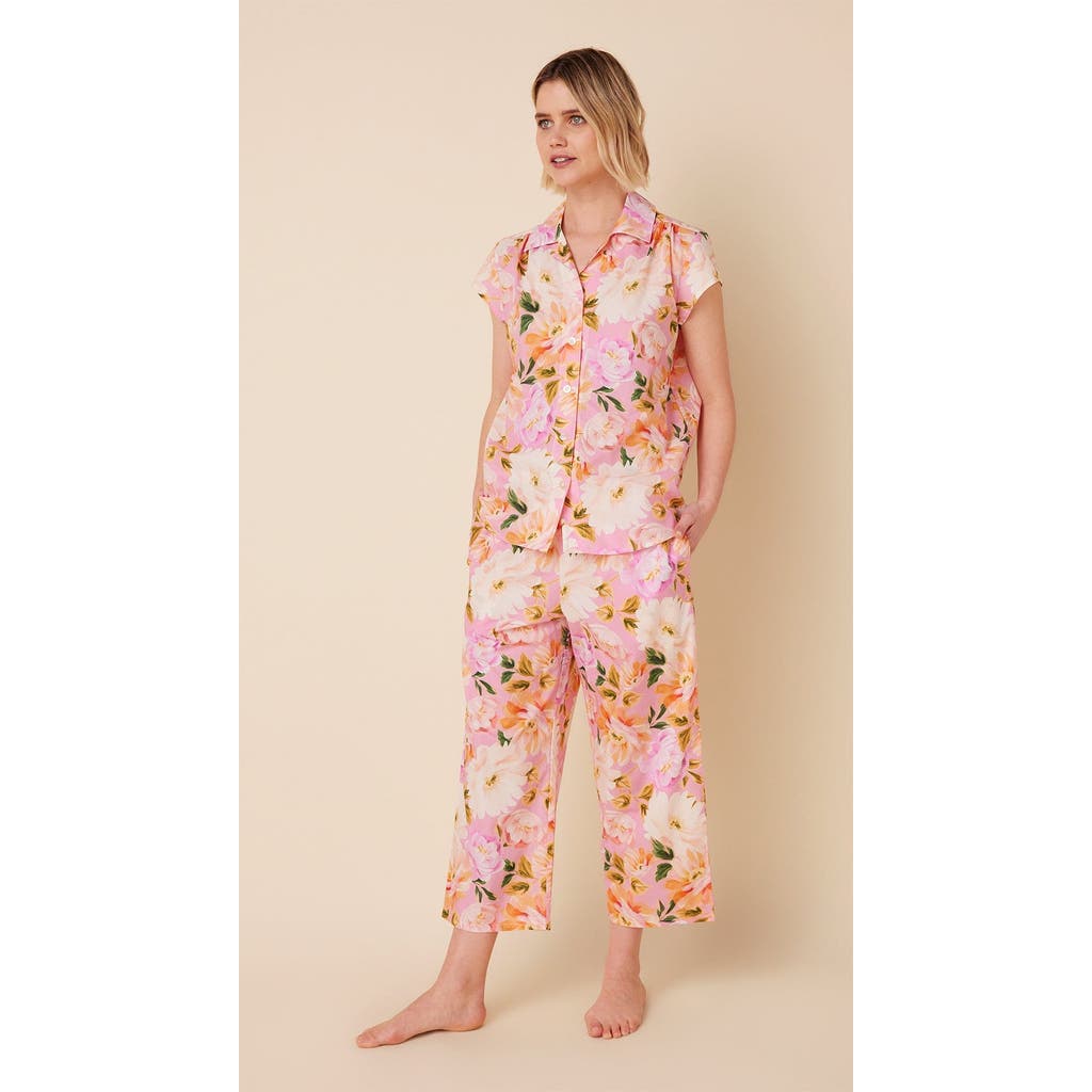 The Cat's Pajamas Luxe Pima Capri Set