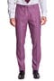 selected Sugar Plum Shark