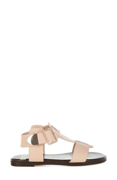 Rag & Co Shayla Gladiator Flat Sandal