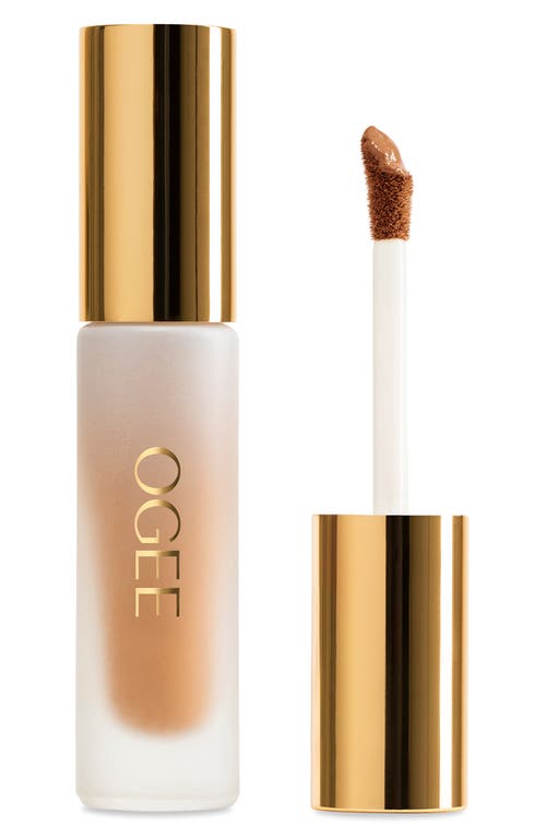 Ogee Complexion Perfecting Concealer