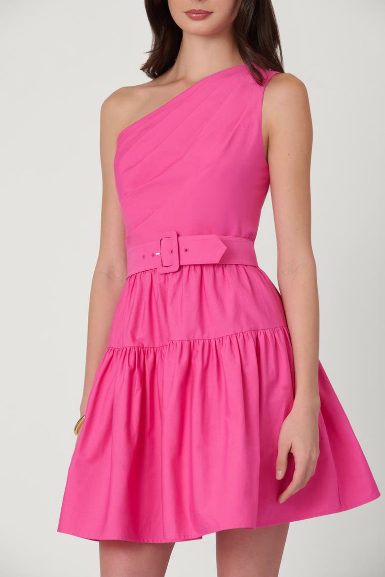 Cotton Faille Crawford Dress, Alternate, color, Fuchsia