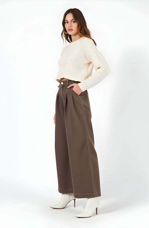 Modenaire High-waist Wide-leg Front-pleated Side-pocket Pants In Brown