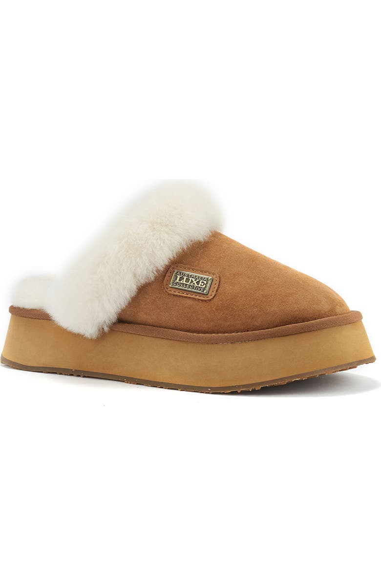Australia Luxe Collective Genuine Shearling Platform Mule Slipper, Main, color, Chestnut