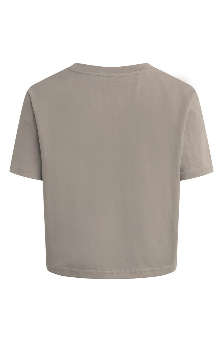 Favorite Daughter The Favorite T-Shirt, Alternate, color, Soft Taupe