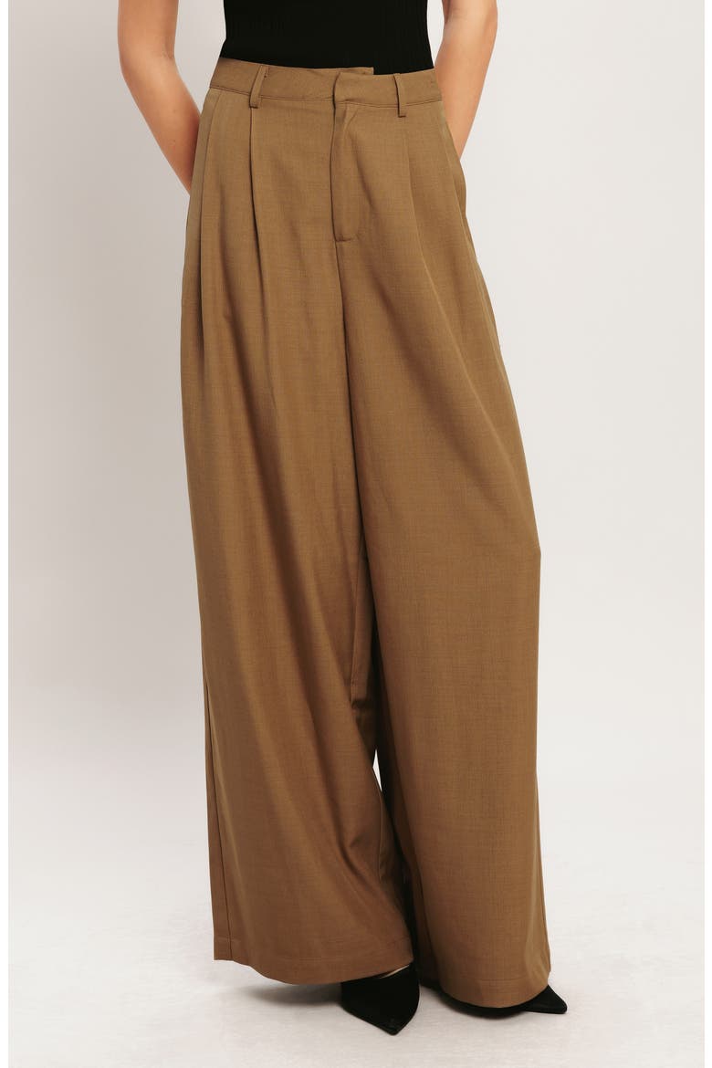 Pleated Wide Leg Pants, Alternate, color, BRICK