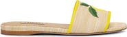 Arteana Tutti Frutti Flat Slide