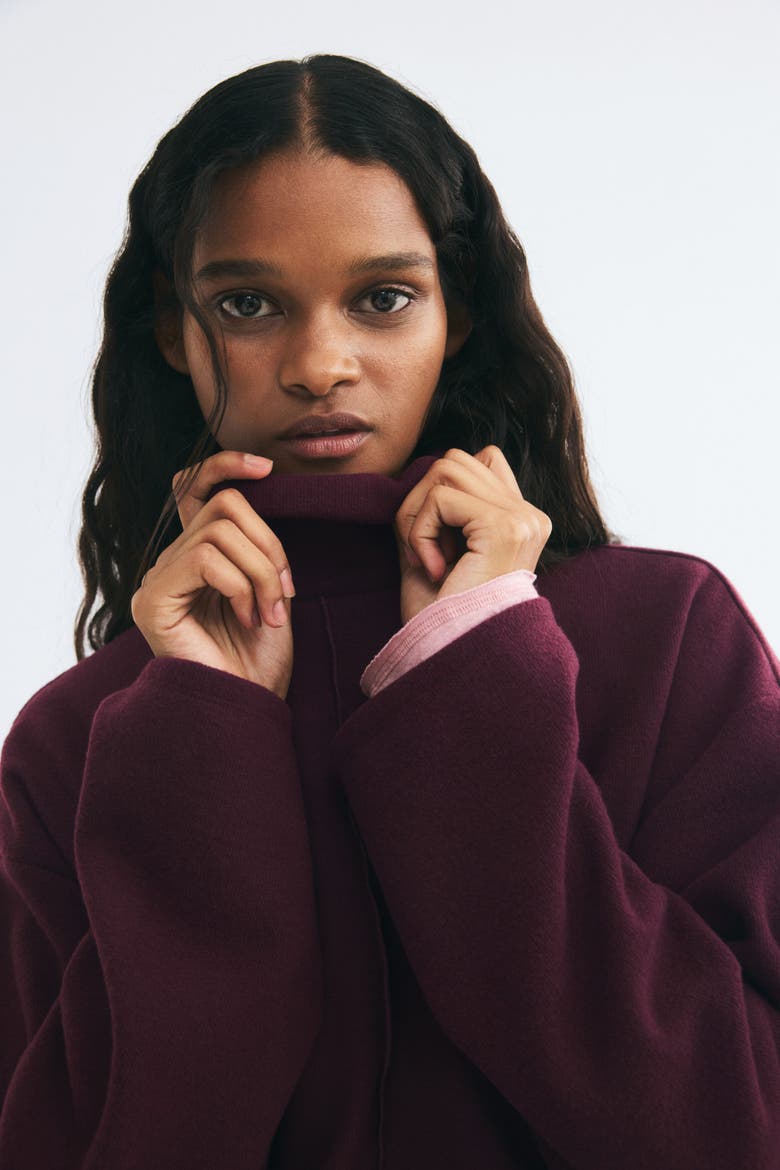 Loose-fit Mock Turtleneck Sweater, Alternate, color, Burgundy