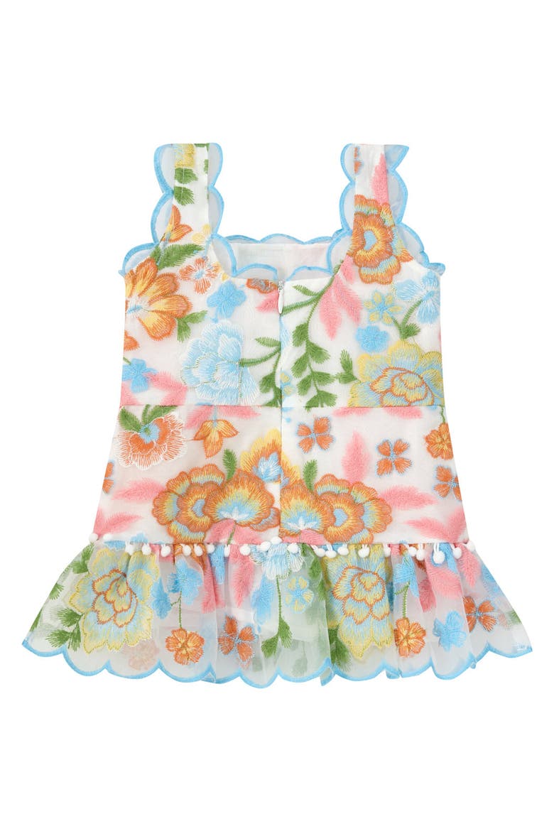 Bianca Embroidered Mini Dress, Alternate, color, Floral