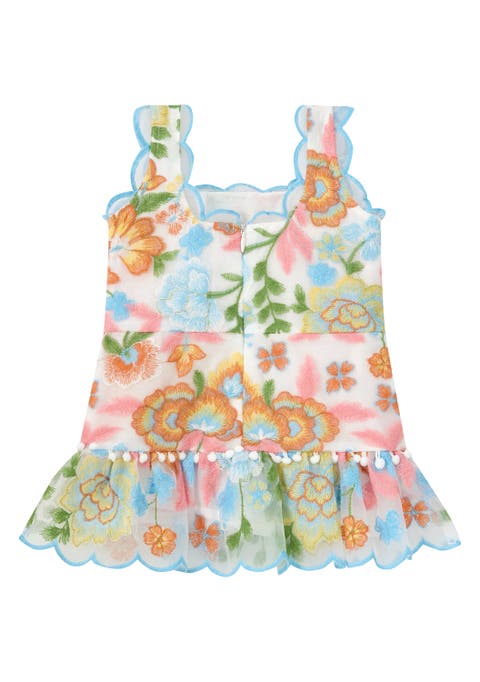 Bianca Embroidered Mini Dress