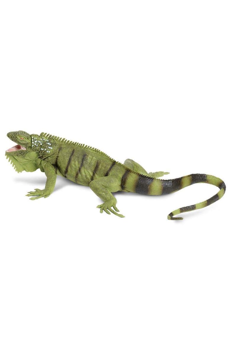 Iguana Toy, Main, color, No Color