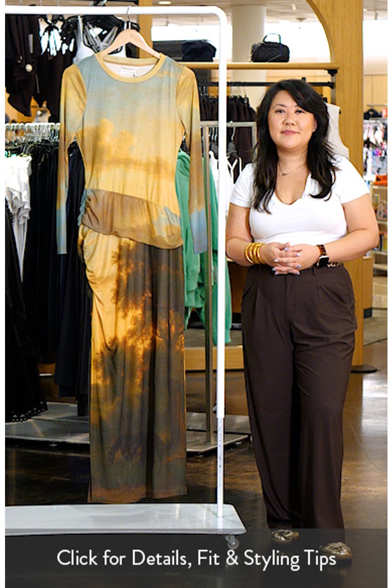 Landscape Print Mesh Maxi Dress video