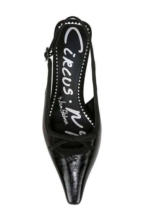 Circus Ny By Sam Edelman Cassidy Pointed Toe Slingback Pump In Black