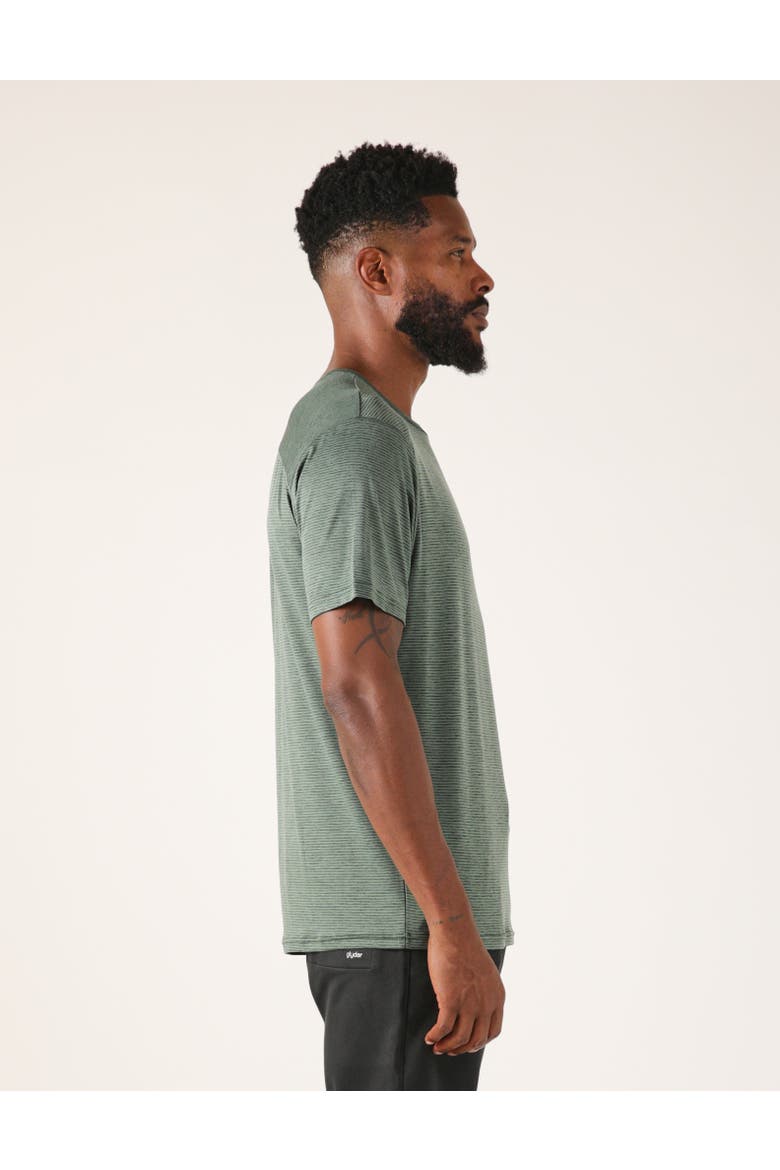 Salton 2.0 Short Sleeve, Alternate, color, Smoky Basil Stripe