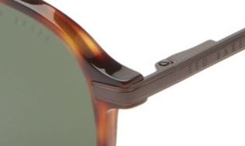 Ted Baker London 51mm Polarized Round Sunglasses In Tortoise