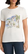 Jones New York Graphic T-Shirt
