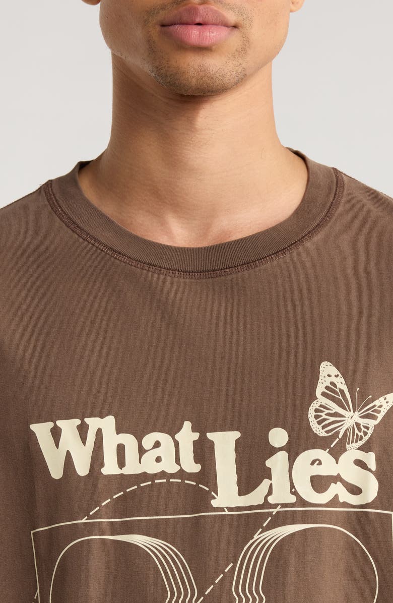 PacSun What Lies Cotton Graphic T-Shirt, Alternate, color, Brown