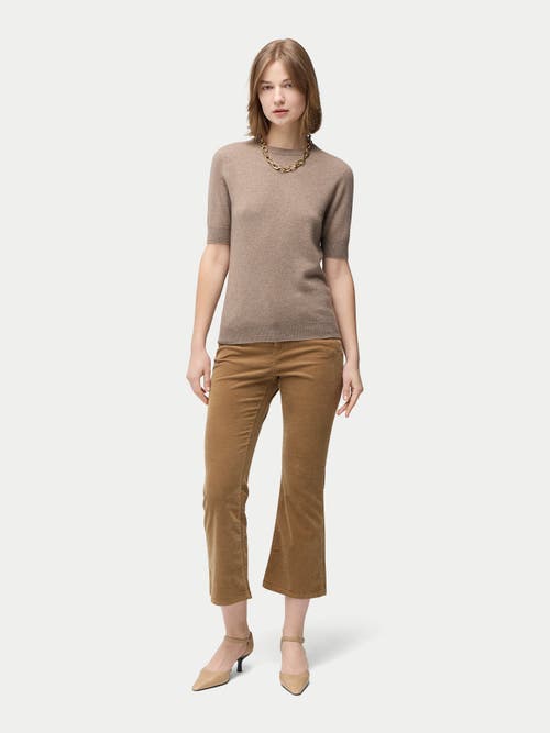 Gobi Mongolian Cashmere Crew Neck Cashmere Top In Taupe