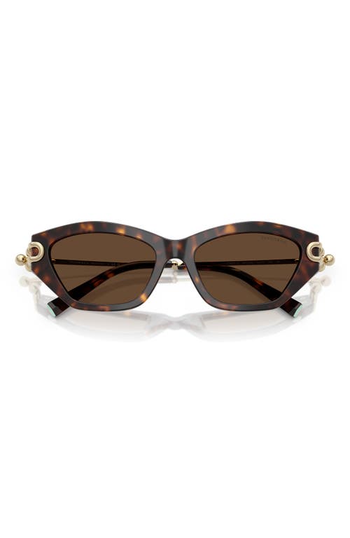 TIFFANY & CO TIFFANY & CO. 53MM CAT EYE SUNGLASSES