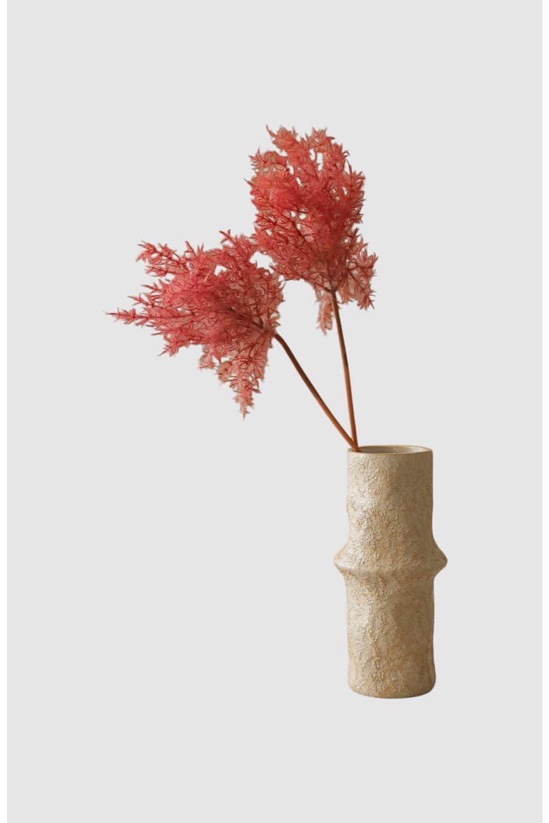 Red Cotinus Coggygria Young Lady Flower, Alternate, color, Red