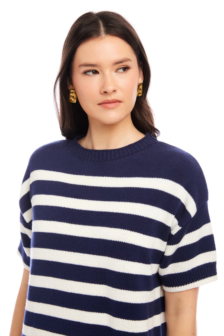 Georgette Stripe Cotton Blend Sweater Dress, Alternate, color, STRIPE