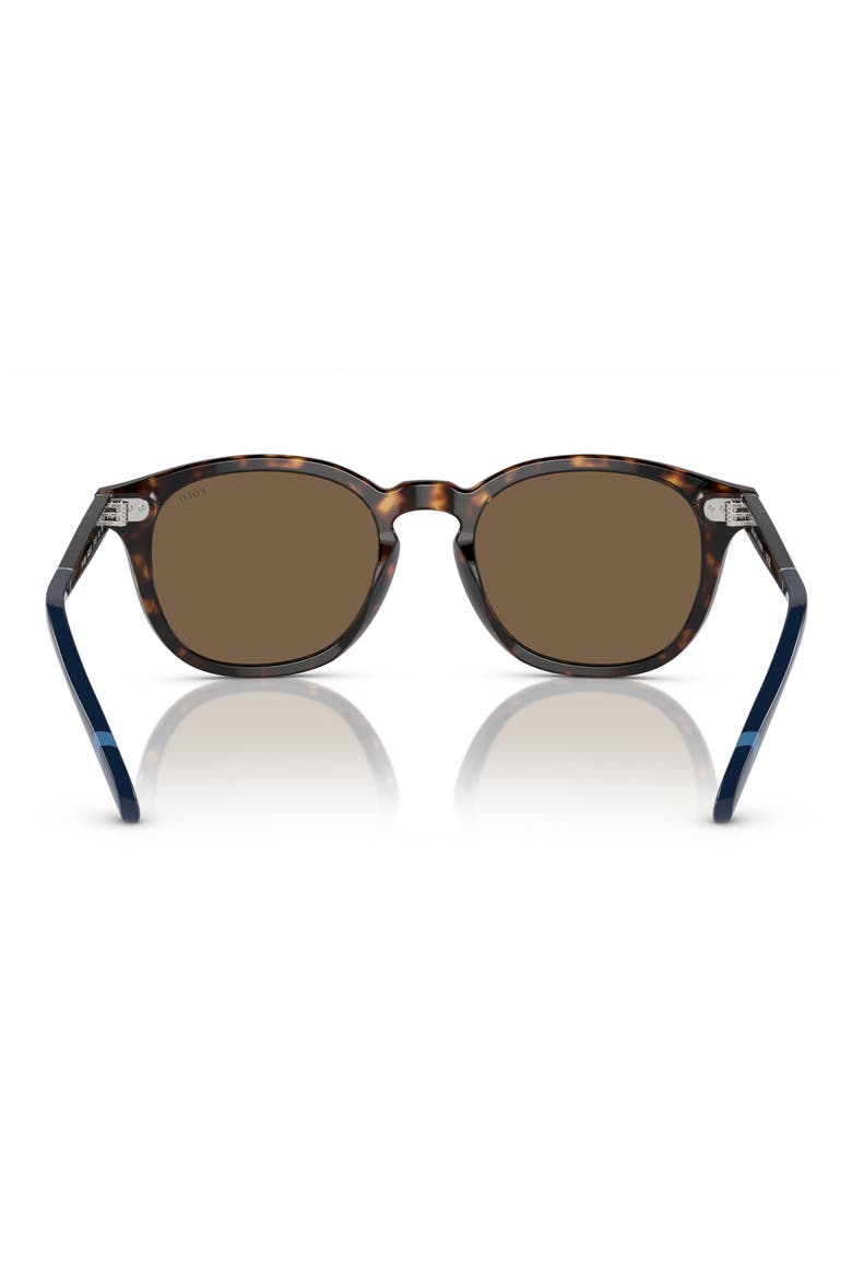 52mm Phantos Sunglasses, Alternate, color, SHINY DARK HAVANA / BROWN