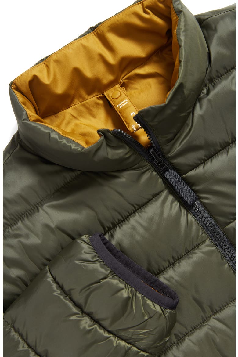 The ReNew Lightweight Reversible Liner Jacket, Alternate, color, FOREST NIGHT/ BRASS