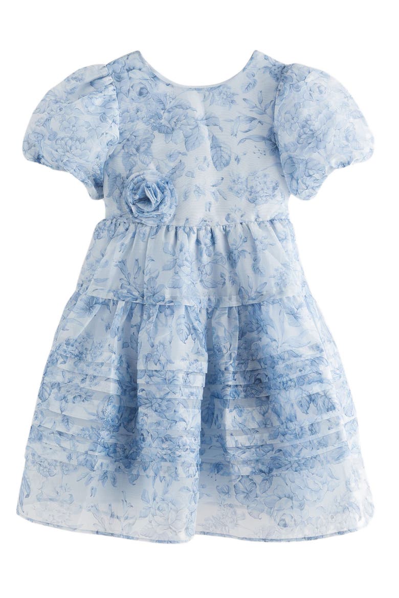 Kids' Puff Sleeve Organza Dress, Alternate, color, BLUE FLORAL