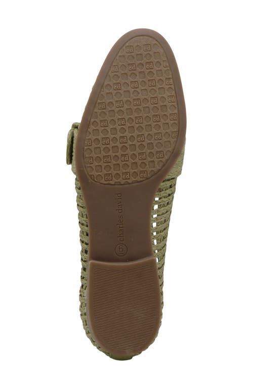 Charles David Follies Raffia Loafer In Khaki