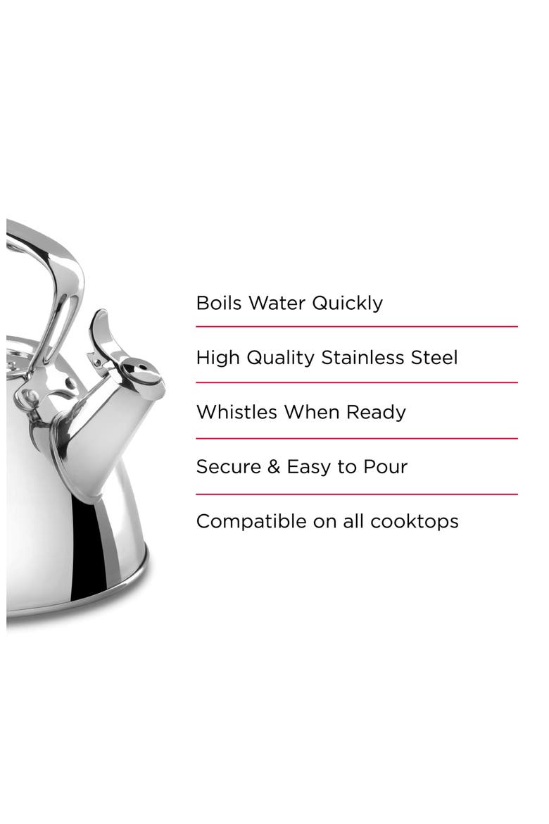 2-Quart Stainless Steel Tea Kettle, Alternate, color, STAINLESS STEEL