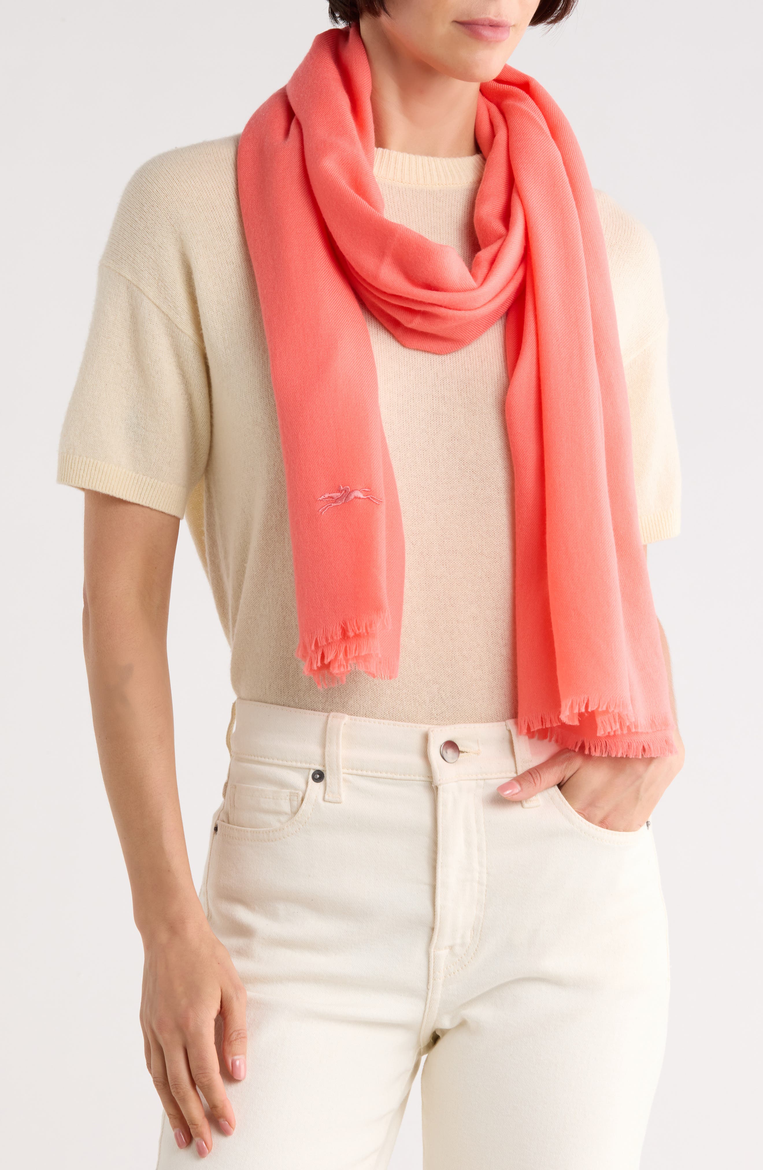 Longchamp Palette Scarf