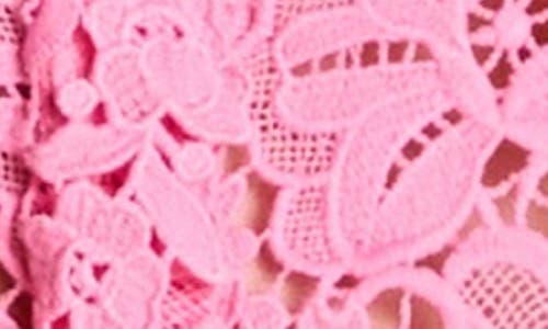 Shop Endless Rose Lace Crop Shirt
