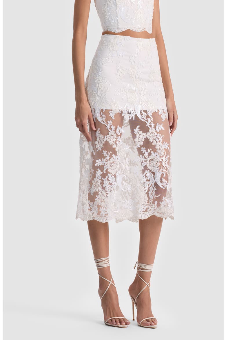 Medine Lace Embroidery Slip Skirt, Alternate, color, OFF WHITE