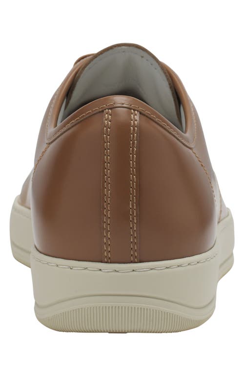 Lanvin Dbb1 Gradation Leather Sneakers In Brown