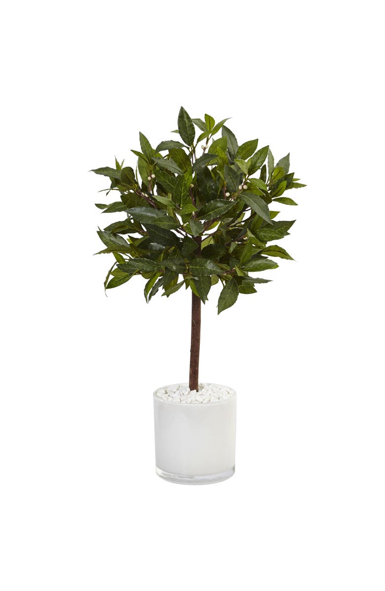 NEARLY NATURAL 2-ft Sweet Bay Artificial Tree in White Glossy Cylinder, Main, color, Green
