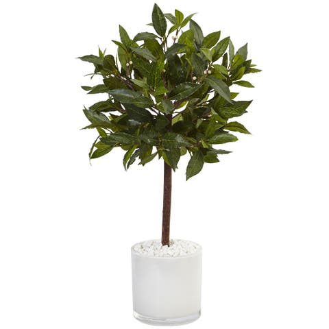 2-ft Sweet Bay Artificial Tree in White Glossy Cylinder